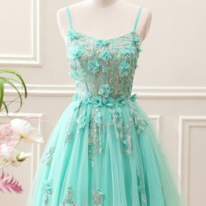 Sparkly Green A Line Corset Tulle Appliques Mini Dress